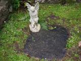 image of grave number 919738